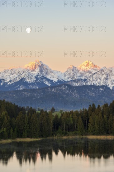 Hegratsrieder See near Füssen, Allgäu Alps, snow, moon, dawn, Allgäu, Bavaria, Germany