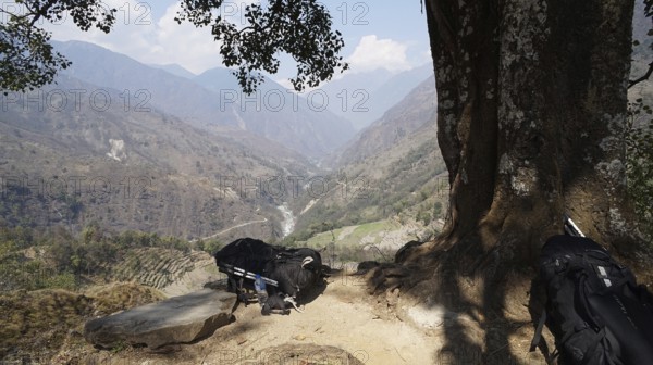 Far reaching view from a vantage point over a river valley and mountain landscape, two large backpacks lying on the ground in front of a tree, trekking at Annapurna Circuit, Nepal