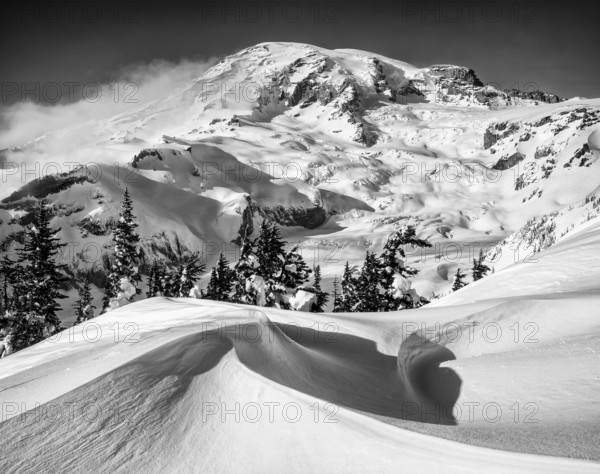 Captivating black and white photo of a mountain landscape blanketed in snow, framed by towering evergreen trees. The serene scene captures nature untouched beauty