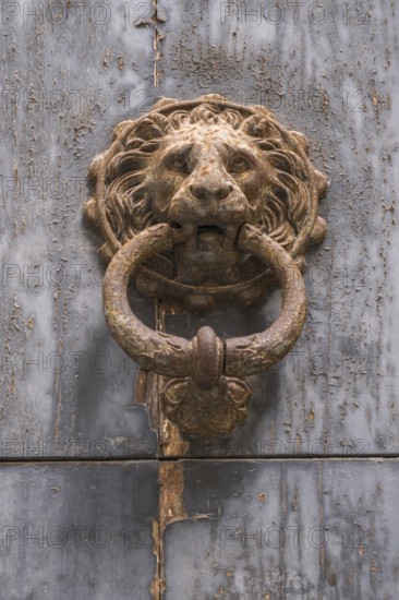 Lion's head as a door knocker, Lecce, Apulia, Italy