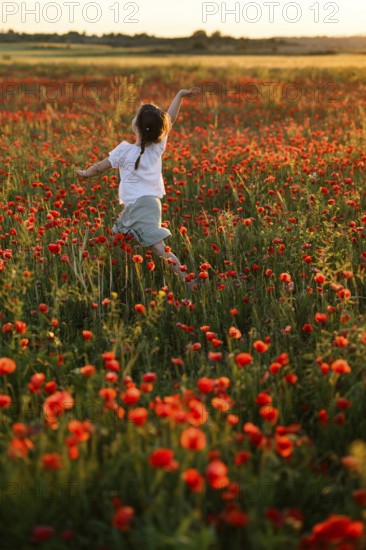 Back view of unrecognizable girl joyfully running in a lush field filled with blooming Papaver rhoeas, commonly known as common poppies or red poppies, during a picturesque sunset
