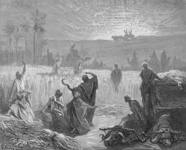 Return of the Ark of the Covenant, The People of Beth-Shemesh were harvesting and cutting the wheat down in the valley, First Book of Samuel, chapter 6, verse 13, Bible, Old Testament, story, cornfield, sickle, wooden cart, sunbeams, camels, horsemen, sanctuary, historical illustration based on Gustave Doré around 1880