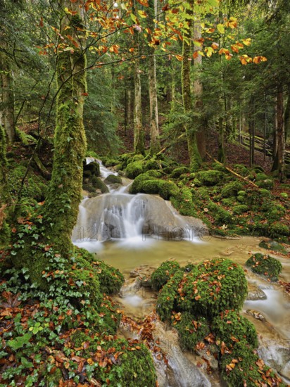 Waterfall surrounded by moss-covered stones in autumnal coloured surroundings, on the river Sihl, Sihlsprung, Menzingen, Canton Zug, Switzerland