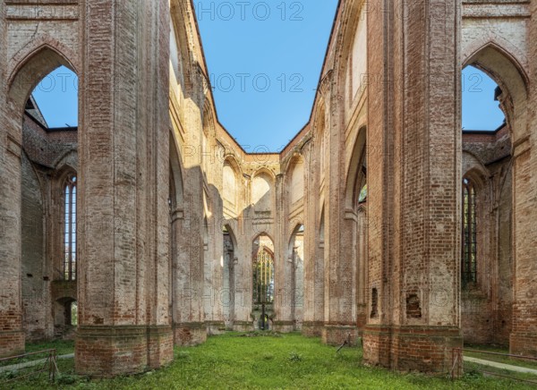 Ruin of Gothic monastery church, North German brick Gothic, brick architecture, Dargun, Mecklenburg-Western Pomerania, Germany