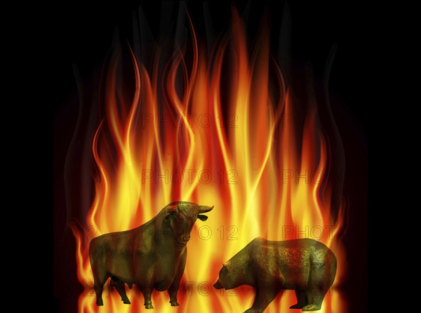 The stock market is burning, bull and bear in flames. Price fall, stock market crash, stocks, stock market, securities, studio recording, Lower Saxony, Federal Republic of Germany