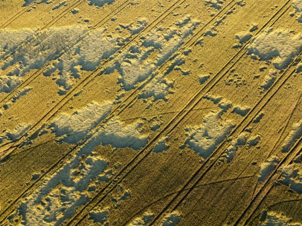 Close-up aerial of cultivated fields in Macerata, Italy, showing lines and textures from agricultural activity under evening light