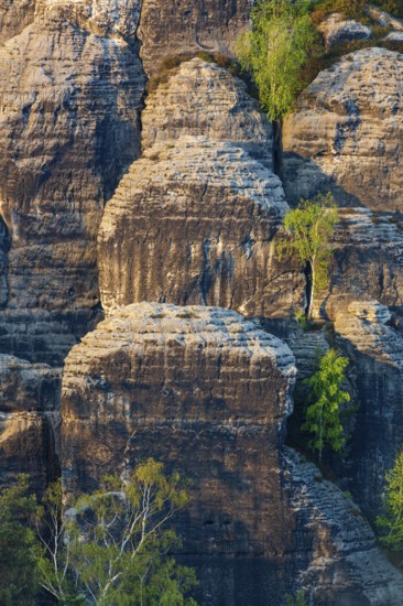 Sandstone formations in late light at the Bastei rocks near the village of Rathen in Saxon Switzerland National Park, Saxony, Germany