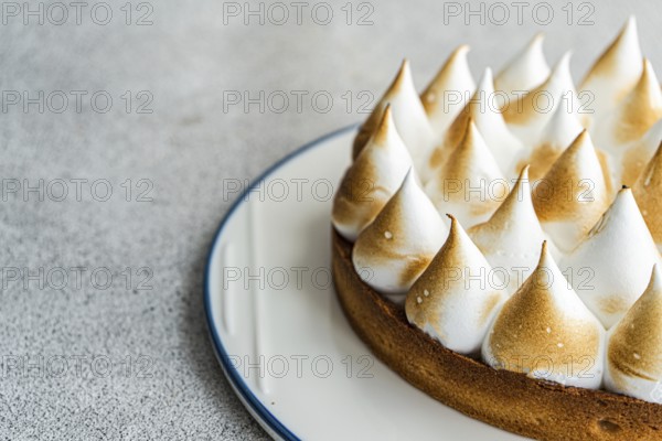 Close up image of a homemade lemon cake, showcasing its golden brown peaks and buttery crust. The dessert is elegantly presented on a white plate against a textured backdrop