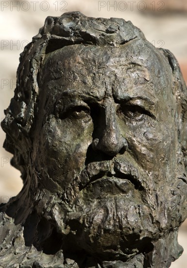 Portrait head Carl Vogt by Thomas Duttenhoefer, bronze, green patina, Giessener Köpfe, Altes Schloss Giessen, Hesse, Germany