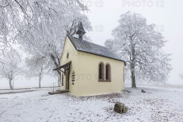 Schoenstatt Chapel Ennabeuren with hoarfrost in winter. Tourist attraction in the Swabian Jura. Heroldstatt, Baden-Württemberg, Germany