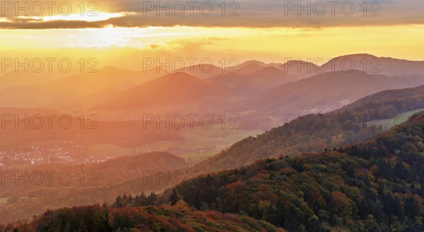 View of an autumnal forest from the Gisliflue, behind the Jurassic foothills in the light of the setting sun, Talheim, Canton, Aargau, Switzerland