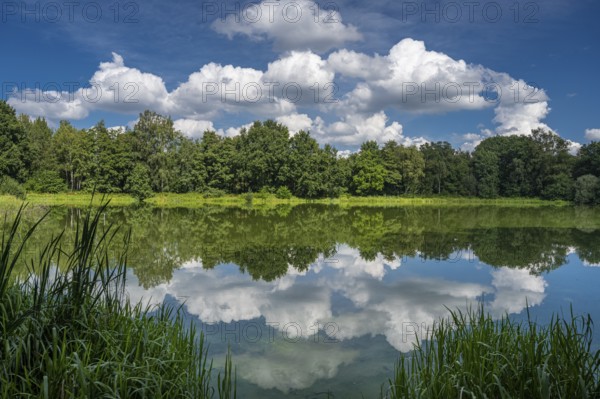Cumulus clouds over Ahlhorn fish ponds, Ahlhorn, Lower Saxony, Germany