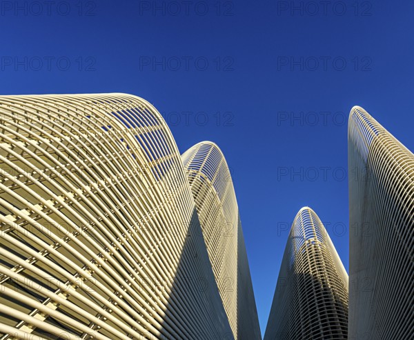 Zayed National Museum in Abu Dhabi, memorial to the late Zayed bin Sultan Al Nahyan, the museum is the heart of the cultural district on Saadiyat Island, architecture on the roof of the museum, Abu Dhabi, United Arab Emirates