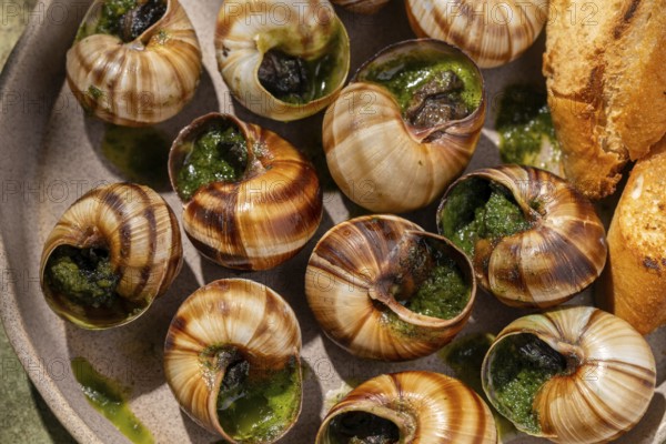 A close-up top view of baked escargot topped with butter and fresh parsley, served alongside crusty bread