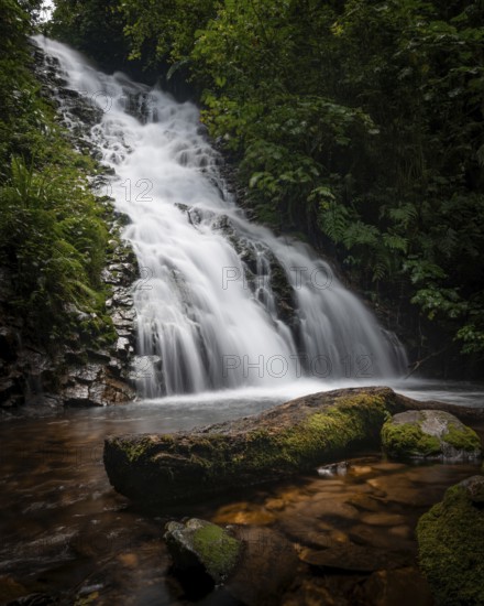 Captivating waterfall cascading through lush greenery in Bwindi Impenetrable Forest, Uganda, epitomizing the tranquility and beauty of African natural landscapes
