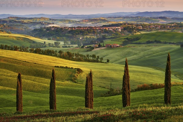 Asciano, landscape in Tuscany, near the Siana and Pienza, Sunrise morning in Italy. Idyllic view on hilly meadow in Tuscany in beautiful morning light, Italy. Foggy morning in nature