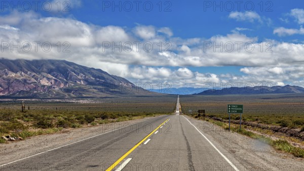 Endless road runs straight ahead through a dry landscape with mountains in the background and clouds in the sky, The landscape of the Quebrada with its large cacti near Salta in Argentina, Cardón cactus (Echinopsis atacamensis)