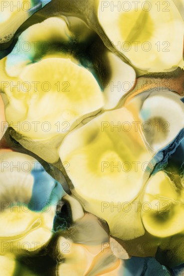 Vibrant interplay of yellow, blue, and green liquid inks merging into a fluid abstract design, evoking the natural forms and movements of organic materials