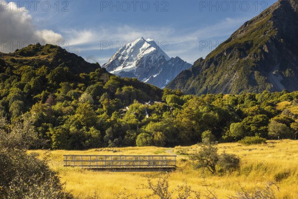 Stunning autumn view of Mount Cook in New Zealand, featuring golden foliage and majestic peaks against a clear blue sky, highlighting the beauty of nature and outdoor adventure