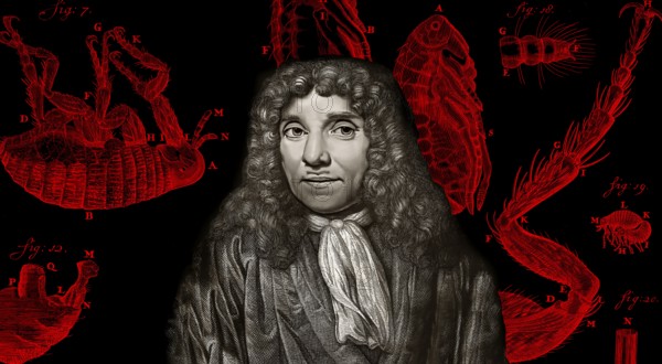 Antonie Philips van Leeuwenhoek, 1632 – 1723, a Dutch microbiologist and microscopist