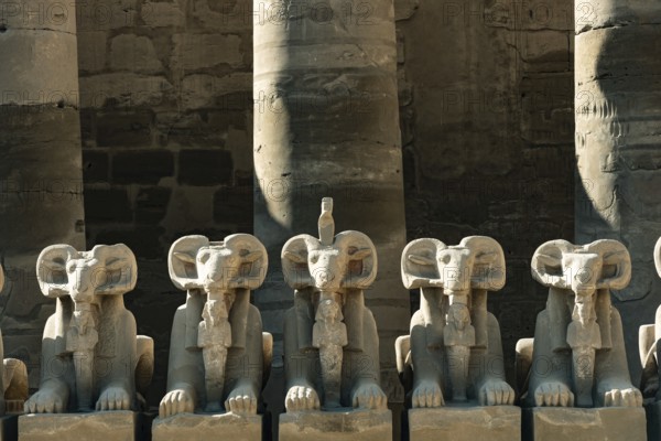 At the entrance to Karnak Temple the Avenue of Sphinxes, statues with the head of a Ram and the body of a Lion, ancient Egyptian icons and symbols to the Gods dating from the 30th Dynasty. Ancient Egyptian archaeology in Luxor, Egypt