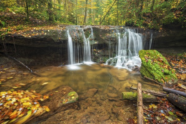 Waterfall in the course of the Strümpfelbach stream, colorful autumn leaves in the water, Strümpfelbachtal, near Backnang, Swabian-Franconian Forest nature park Park, Baden-Württemberg, Germany