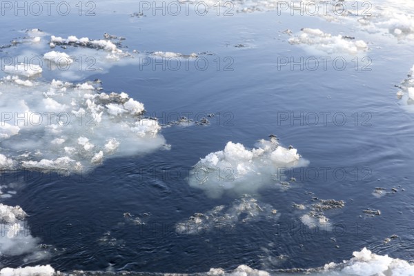 Drift ice and frozen ice rinks on the banks of the Elbe, Dresden, Saxony, Germany