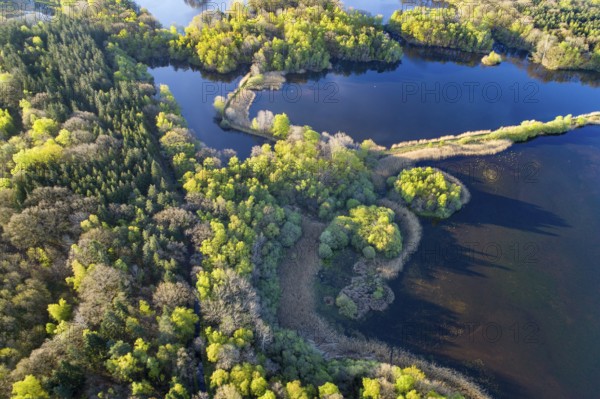 Aerial view of Ahlhorn fish ponds, autumnal, pond, lake, Lower Saxony State Forests, Ahlhorn, Lower Saxony, Germany