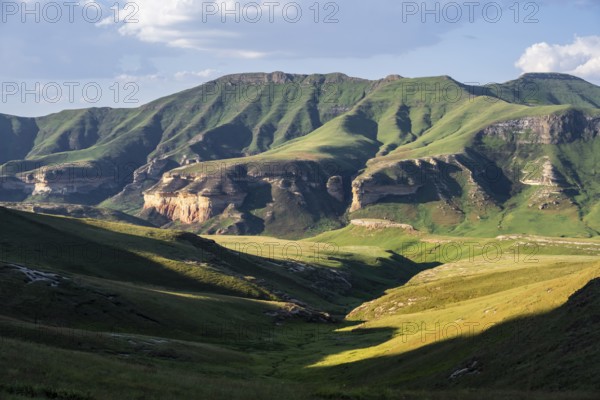 Grassland with sandstone cliffs and cliffs, landscape in Golden Gate Highlands National Park, Free State, South Africa