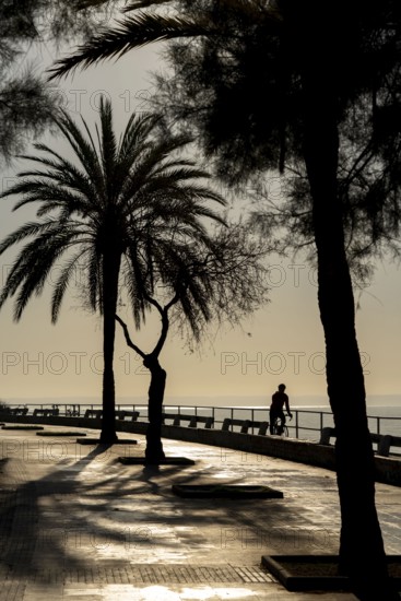 Promenade on the bay of Palma de Majorca, Spain