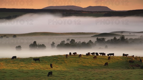 Europe, Scotland, Great Britain, England, landscape, CairnGorm Mountains, mountain group, fog atmosphere, Cairngorm Mountains