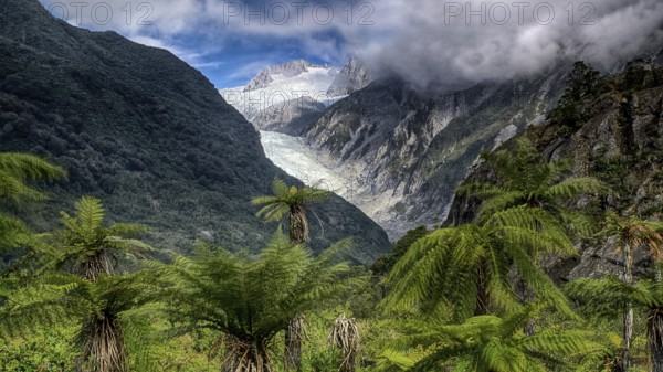 New Zealand, South Island, Franz Josef Glacier, Westland, National Park, National Park, New Zealand