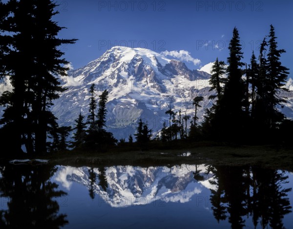 A stunning snow capped mountain reflects in a serene lake, framed by tall, silhouetted trees. The vibrant blue sky enhances the breathtaking natural beauty of the scene