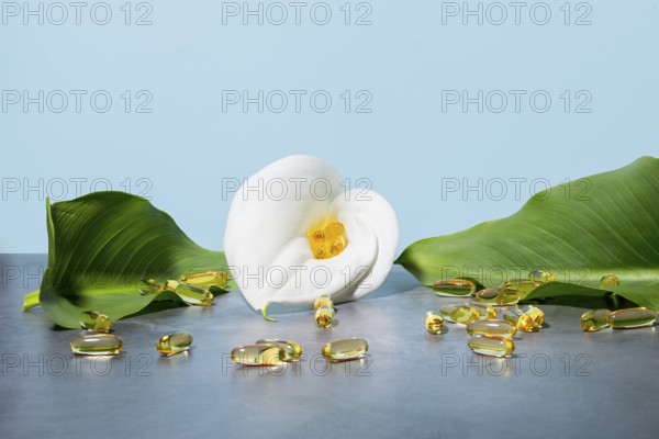 Serene display featuring golden omega-3 oil supplement capsules nestled in a white calla lily, surrounded by lush green leaves against a soft blue background, emphasizing beauty and wellness