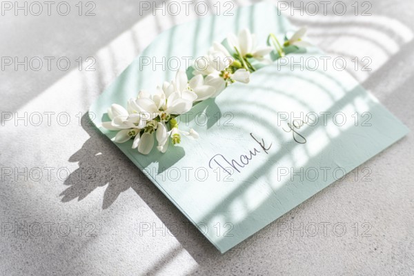 Top view of delicate spring snowdrops arranged on a pastel thank you card, with natural sunlight casting soft shadows