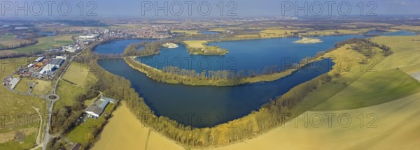 Offstein sewage ponds, ponds of a sugar factory in Rheinand-Pfalz, bird sanctuary, Roxheimer Altrhein and Silbersee, Bobenheim-Roxheim, Rhineland-Palatinate, Germany