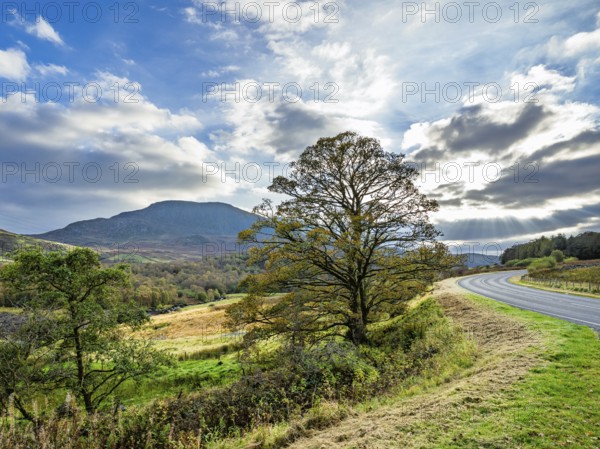 Autumn colors over Farms and Fields, Wales, UK