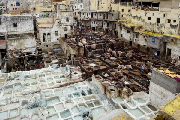 Chouwara tanning and dyeing district, Fez El Bali, Medina, UNESCO World Heritage Site, Fez, Morocco