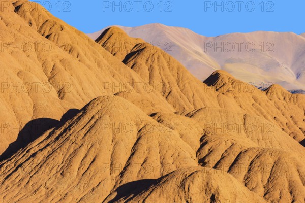 Rich orange and ochre hills of the Devil's Desert in Salta, Argentina, showcased against a clear blue sky