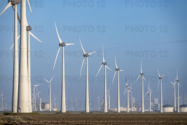Westereems and Growind wind farms, in the north of the Netherlands, near Eemshaven, energy center, in addition to wind energy, there are coal and gas power plants and various energy infrastructure facilities, Vopak tank farm, the Netherlands