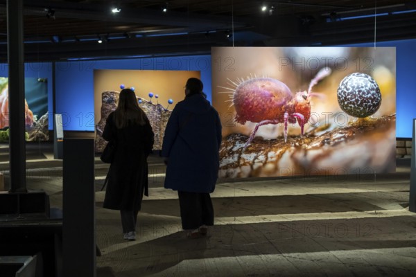 New exhibition at Gasometer Oberhausen, Mythos Wald, on 3 levels and with several thematic chapters, the exhibition shows the diversity of the world's forests with pictures, videos and exhibits, North Rhine-Westphalia, Germany