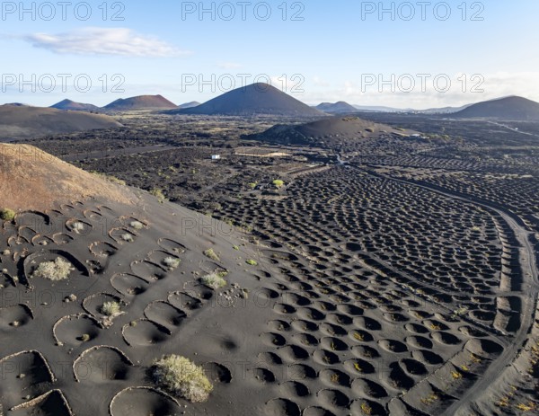 Typical drywall viticulture in volcanic landscape, on volcanic ash, lapilli, aerial view, vines, La Geria wine-growing region, Lanzarote, Canary Islands, Spain