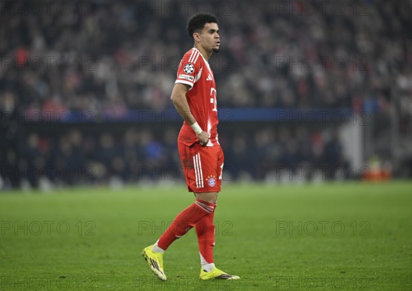 Luis Diaz FC Bayern Munich FCB (14) Football, Champions League, Allianz Arena, Munich, Bayern, Germany
