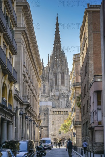 Old Town, Cathedral, Catedral de la Santa Creu i Santa Eulalia, Barcelona, Catalonia, Spain