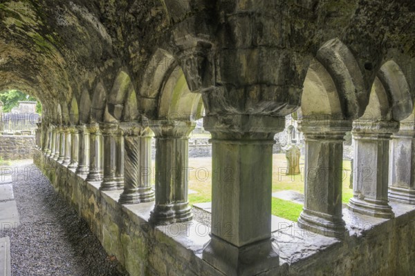 Cloister in the ruins of Sligo Abbey (Dominican) founded 1253, Sligo, County Sligo, Ireland