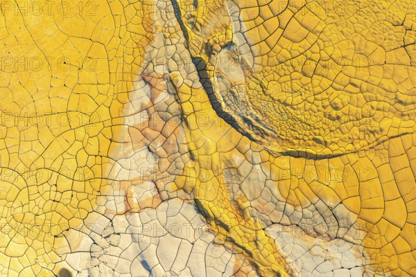 Vibrant, high-resolution image showcasing the intricate patterns and deep cracks of dried, golden mud. Ideal for backdrop or texture use