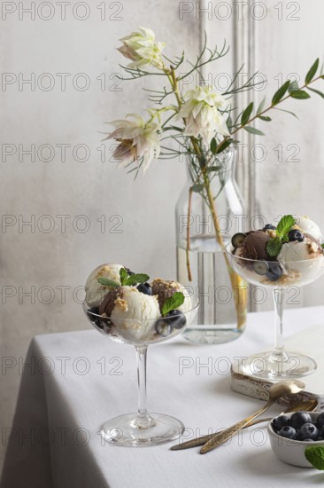 Elegant glass present a sophisticated serving of vanilla and chocolate ice cream, garnished with fresh blueberries and mint, alongside a backdrop of delicate white flowers