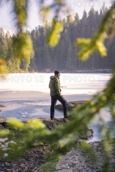 Man standing by a frozen lake in a wintery forest, framed by green branches, Glaswaldsee, Bad Rippoldsau-Schapbach, district of Wolfach, Black Forest, Germany