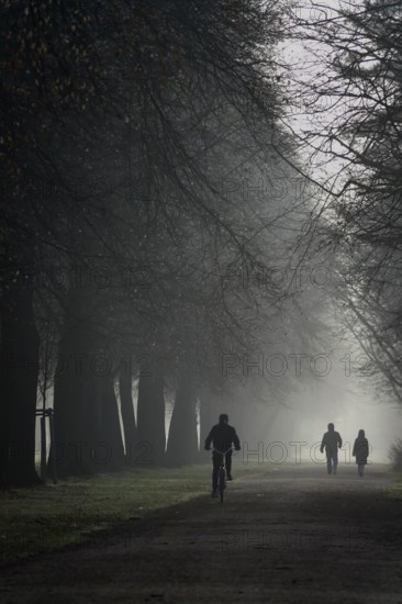 Morning fog in winter, Germany