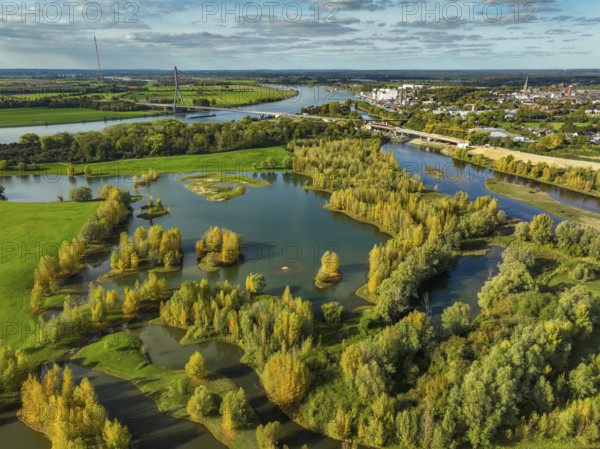 Wesel, Lower Rhine, North Rhine-Westphalia, Germany - autumn on the Lippe, trees with colorful autumn leaves in the restored river floodplain area of Büdericher Insel above the mouth of the Lippe into the Rhine, Lippe estuary nature reserve, in the back the Lower Rhine bridge Wesel